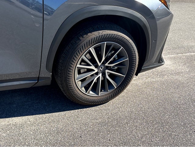 2025 Lexus NX NX 350h Luxury