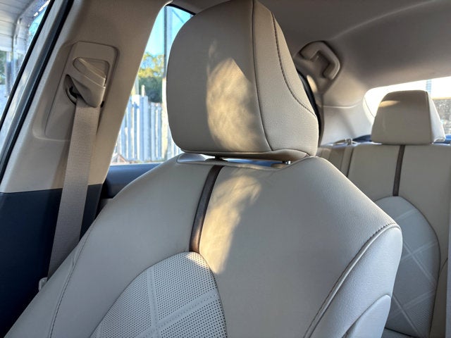 2019 Toyota Camry XLE